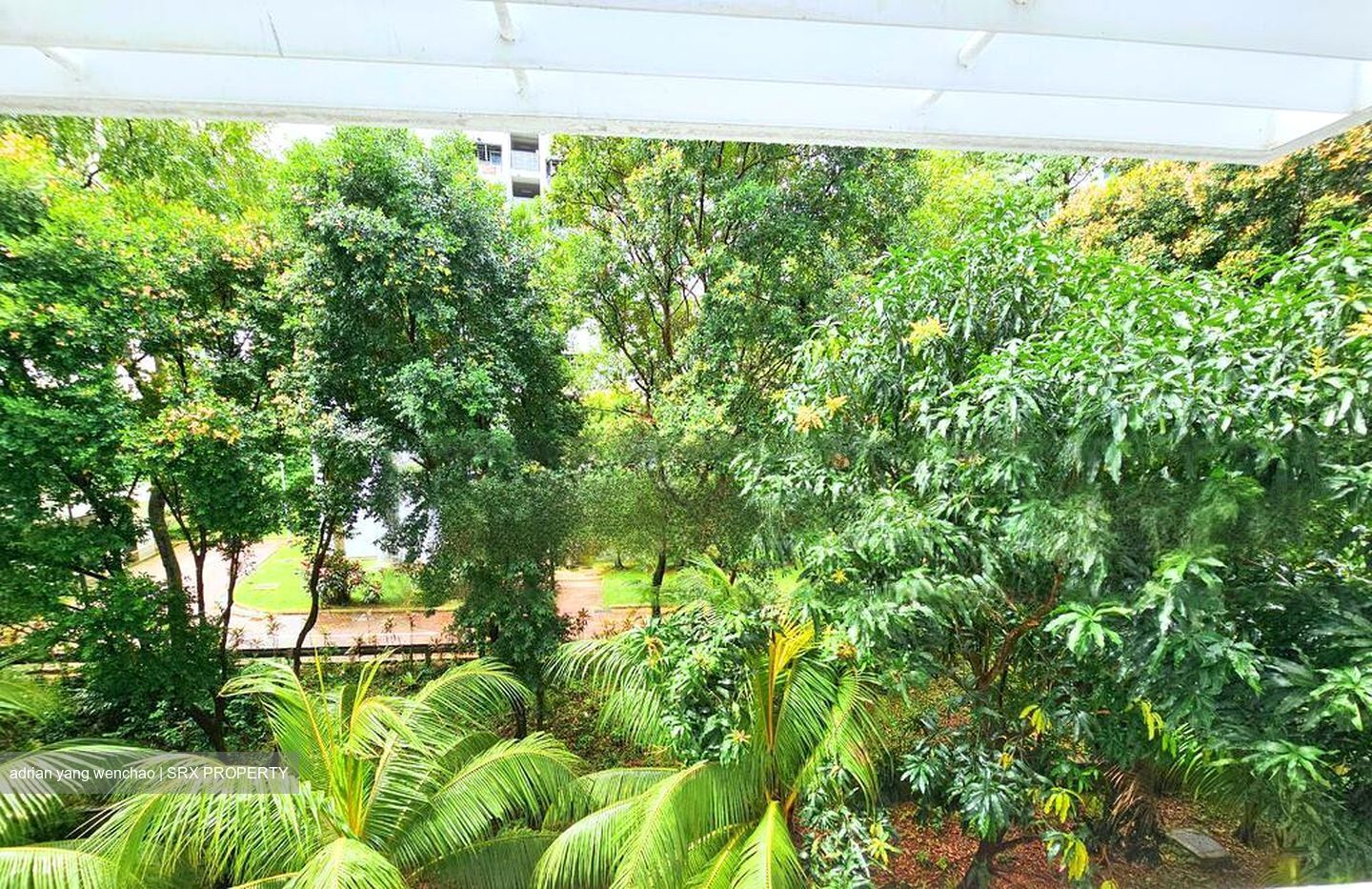 Blk 55 Strathmore Avenue (Queenstown), HDB 4 Rooms #467180911